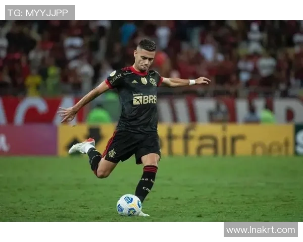 博塔弗戈对阵沙佩科恩斯精彩直播全程回顾与分析